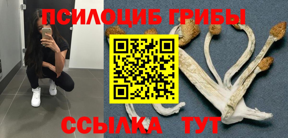 Псилоцибиновые грибы ЛСД Зерноград